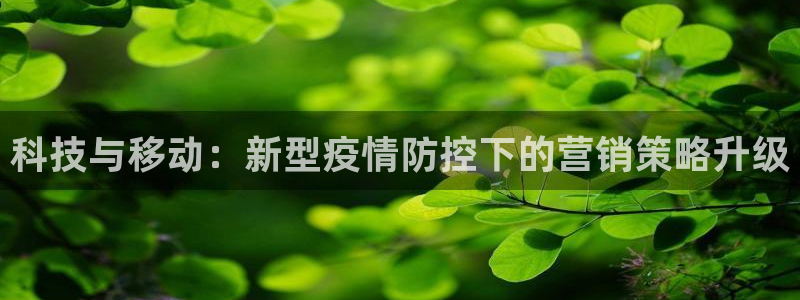 金年会电子