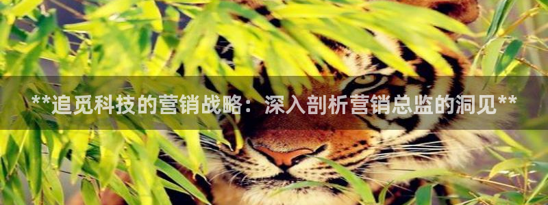金年会是不是黑平台