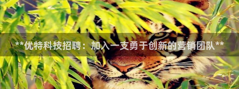 金年会体育官方app下载