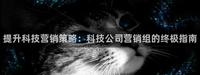 金年会体育手机app下载官网苹果