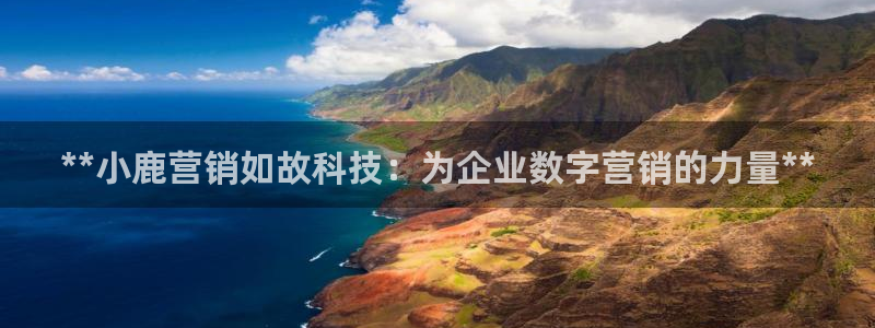 金年会入口
