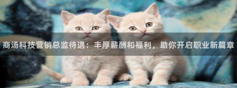 金年会信誉至上 | 金字招牌
