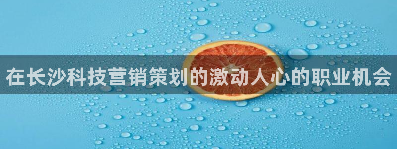 金年会网站提现一直显示审核当中怎么办