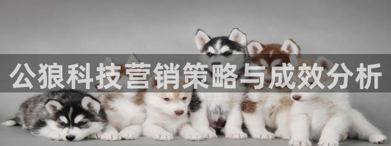 金年会官方娱乐app下载安卓