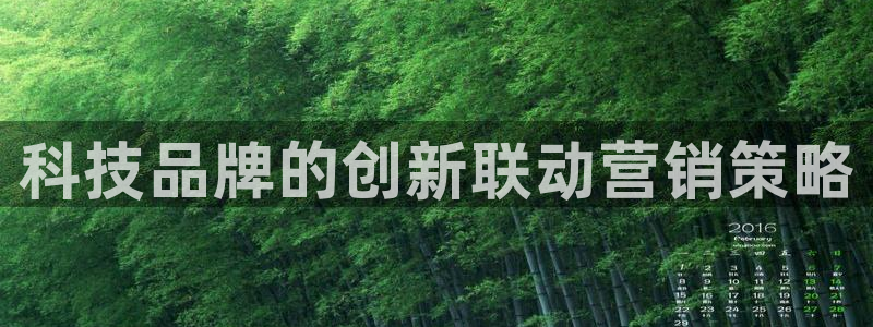 金年会vip网页版在线登录入口下载