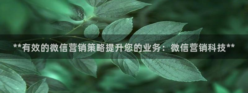 金年会下载哪个买球赛