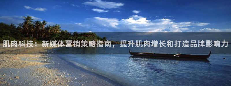 金年会在线入口2023