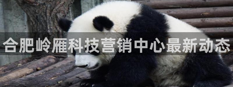 金年会平台官网