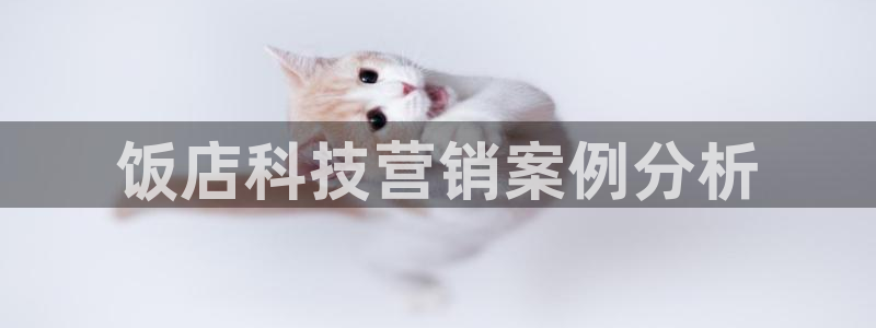 金年会体育买球app下载