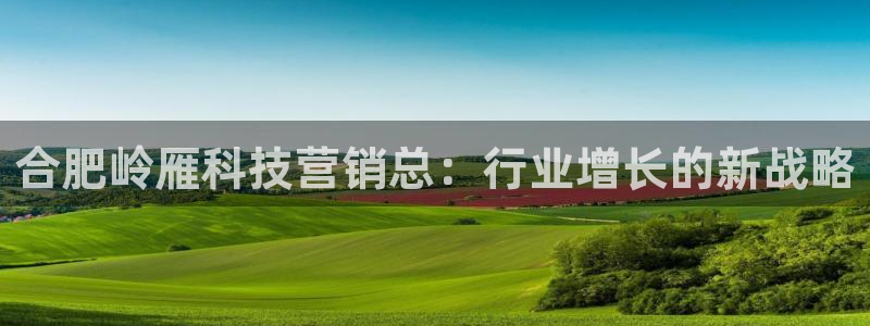 金年会体育app官网下载