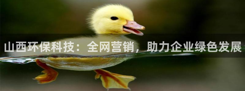 金年会电子官网