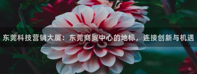 金年会官方app下载最新版