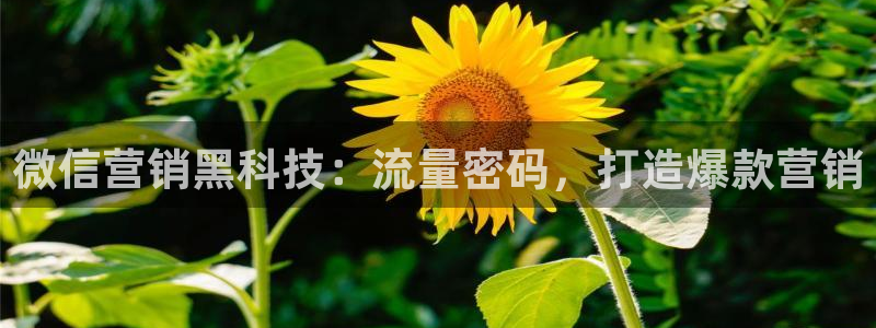 金年会VIP网页版在线登录入口