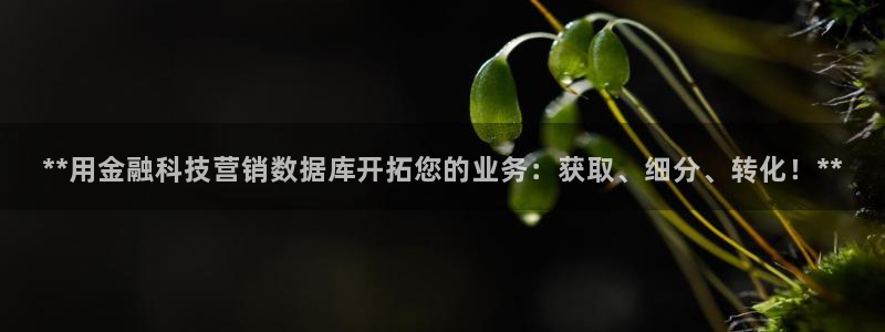 金年会体育有限公司