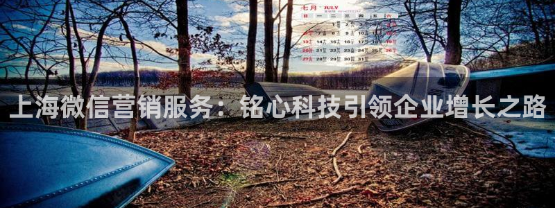 金年会手机网页版吗