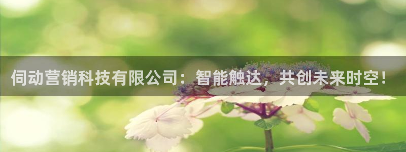 金年会网址导航下载安装