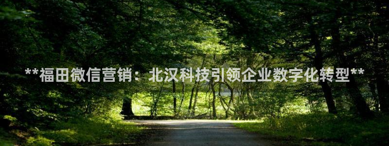金年会体育app官网下载