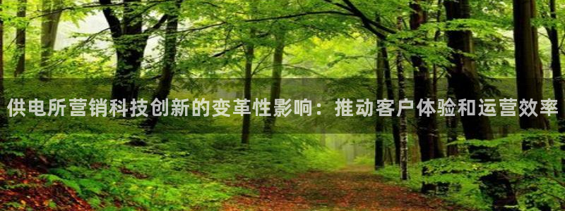 金年会电子官网