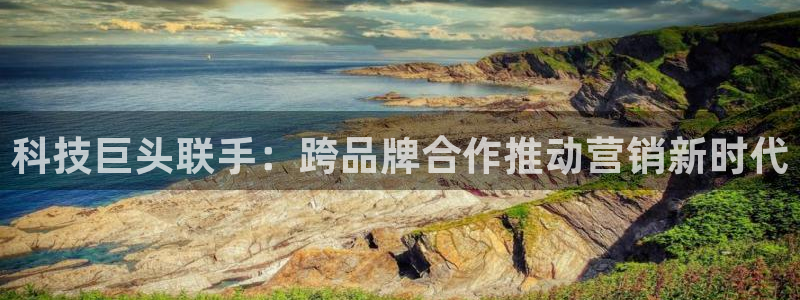 金年会手机网页版吗
