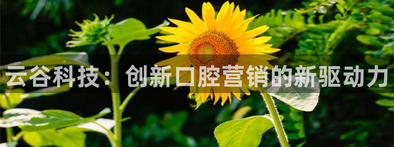 金年会app官方网站下载