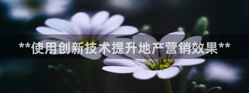 jinnianhui金年会
