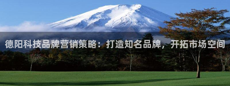 金年会手机网页版