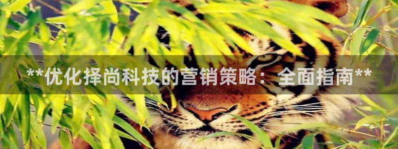 金年会网登录平台入口