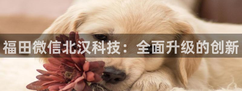 金年会官方入口网站