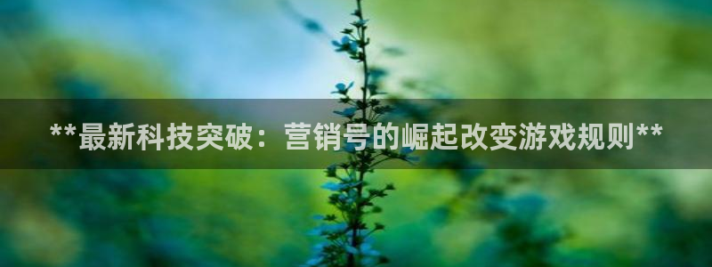 金年会体育app官网下载
