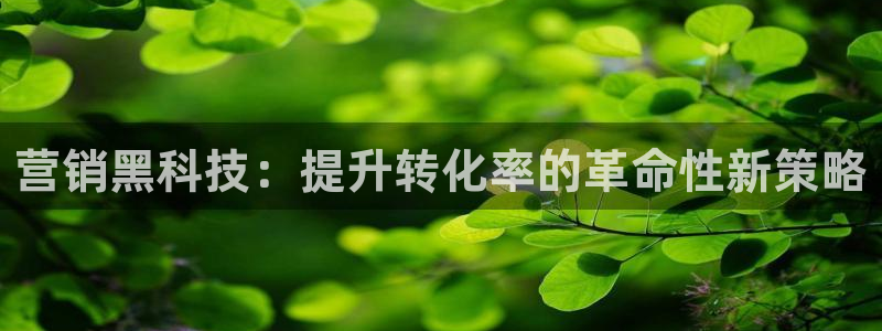 金年会app官网免费下载