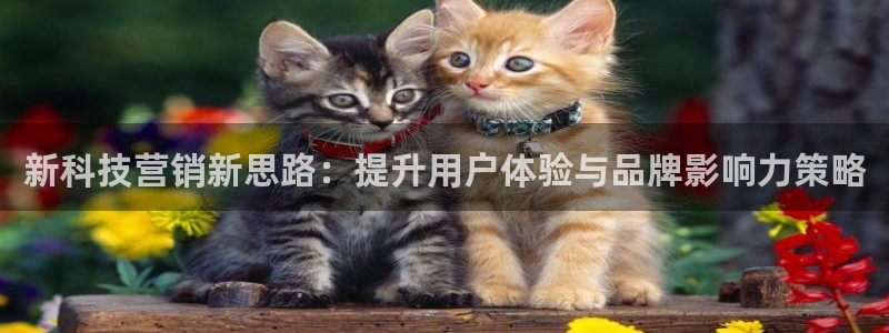 金年会是不是黑平台