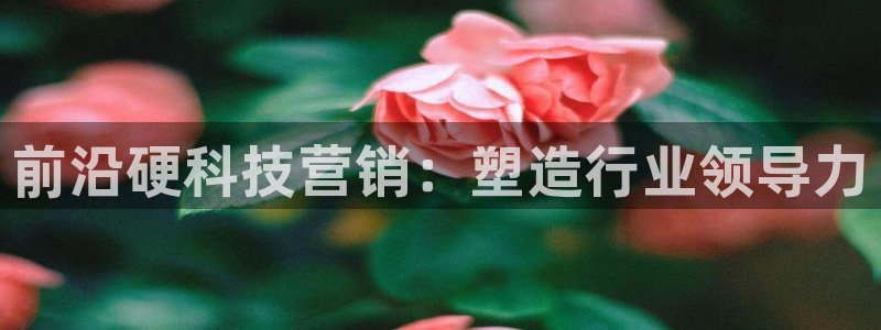 金年会ios下载