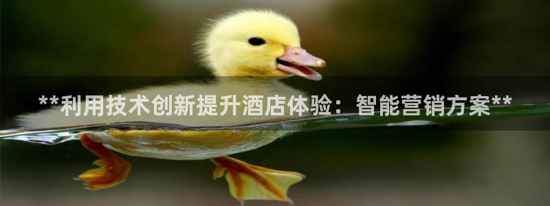 金年会官方娱乐app下载