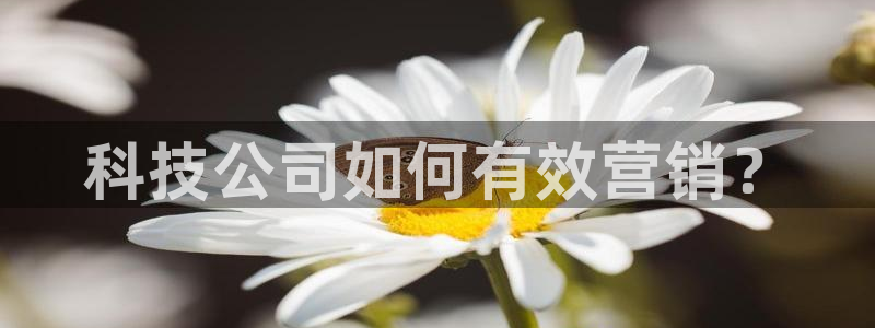 金年会jinnian体育下载app