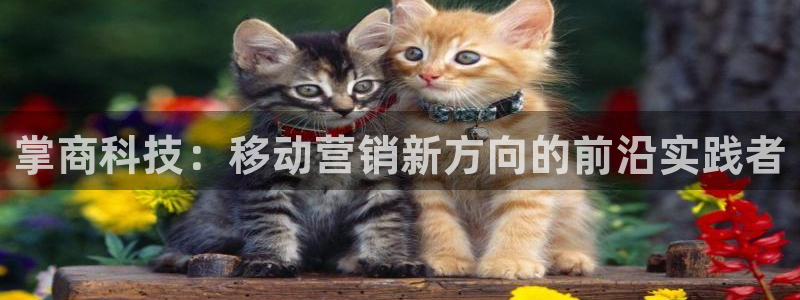 金年会官方网站入口登录手机版