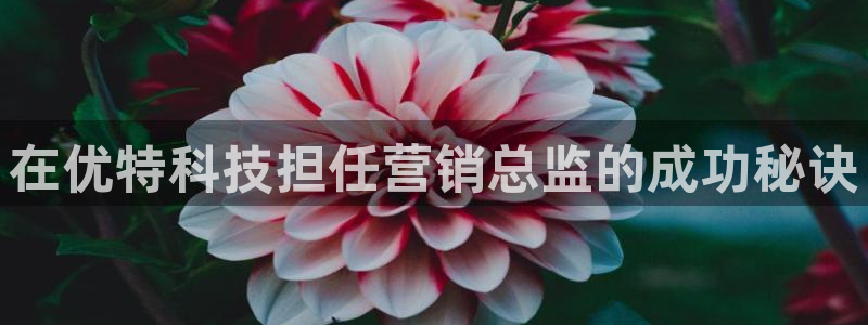 金年会体育平台官网下载app