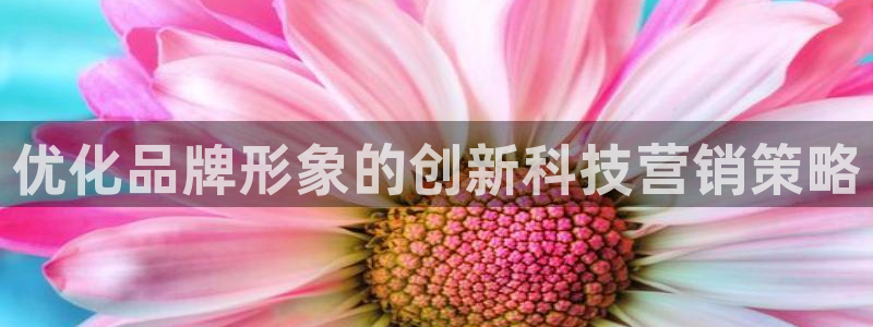 金年会手机版