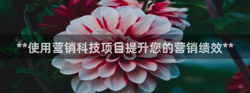 金年会官方体育频道直播