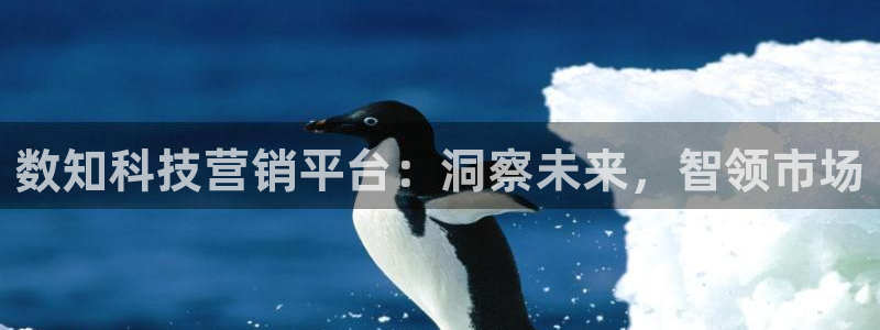 金年会体育app平台怎么样