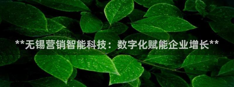 金年会体育app最新官网入口网址是什么