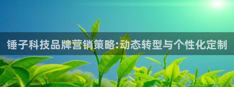 金年会下载安卓