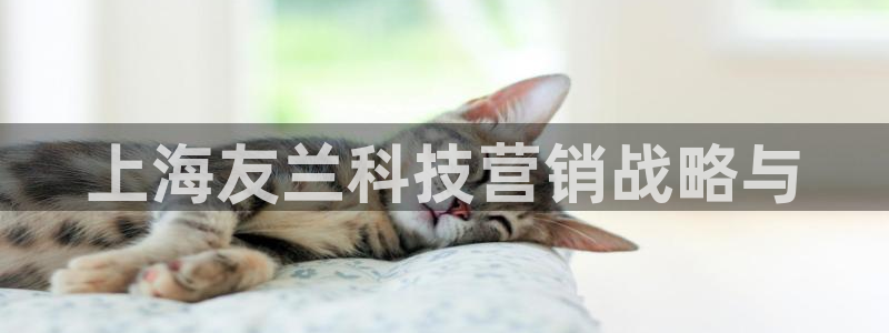 金年会体育出款被要求安全认证怎么办