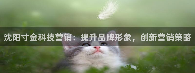 金年会官方网站登录网址