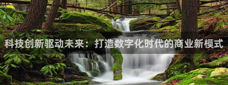 金年会体育app平台怎么样