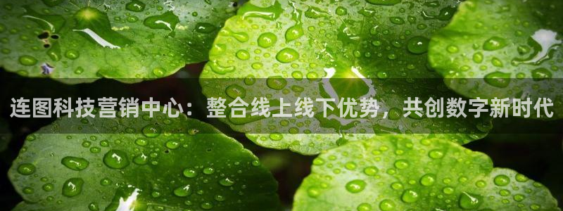 金年会app是不是钓鱼软件