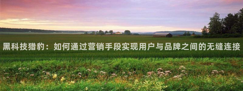 金年会网址