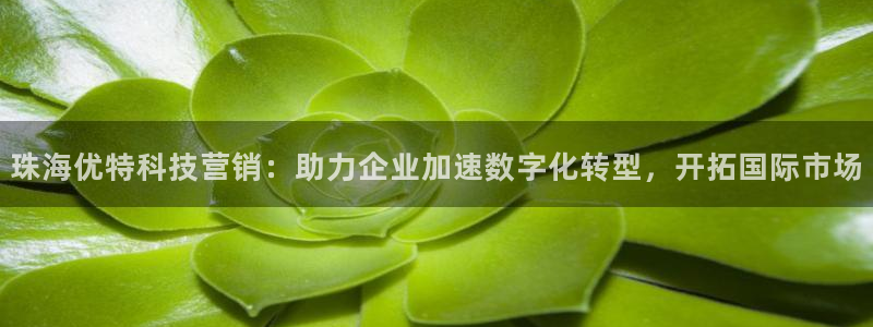 金年会app官网