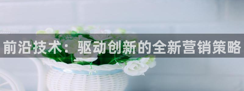 金年会ivp