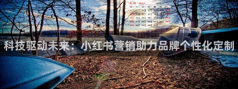 金年会体育网页登录