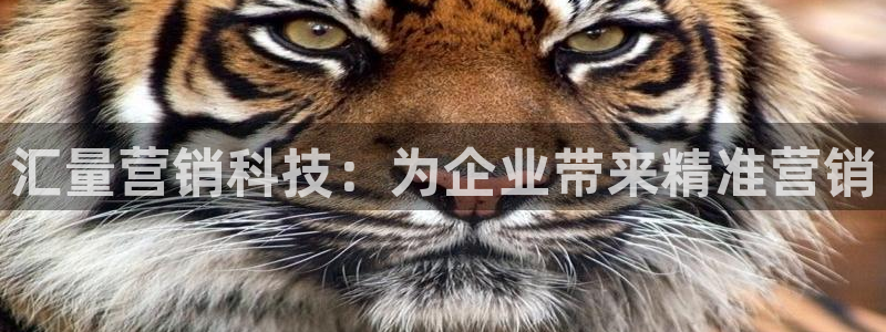金年会体育下载APP